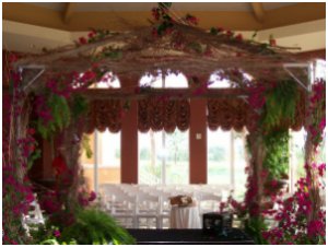 Jeren Tropicals - Special Event Decor