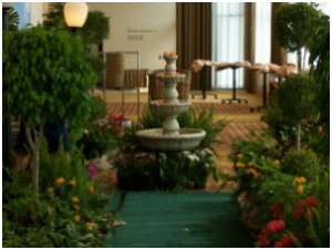 Jeren Tropicals - Special Event Decor